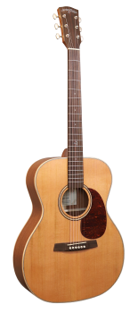 Anchor Guitars Falcon Europe SW